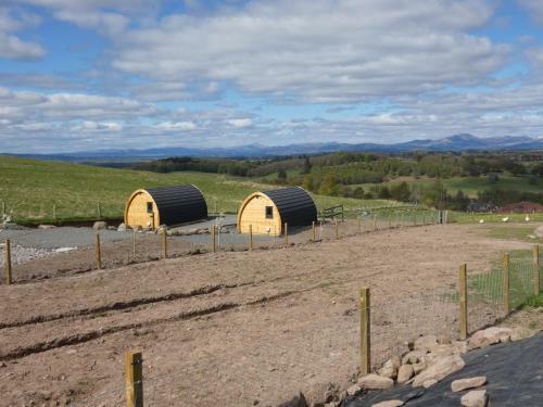The Arns Glamping Pods