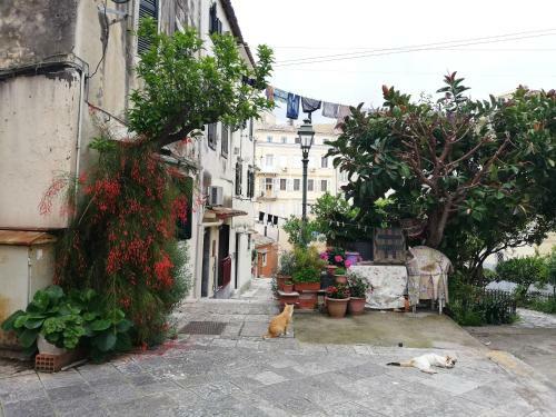 Apartamento The Grey House