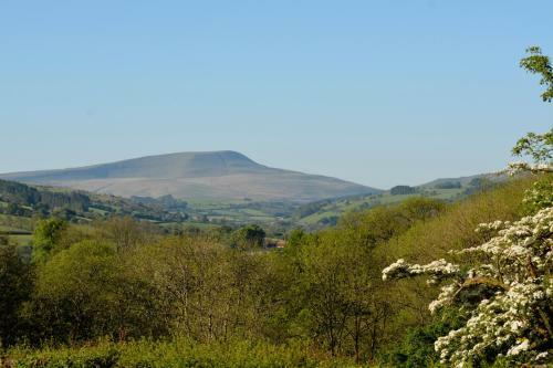 Bell Tent