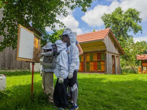 Apartamento Beekeeping Kojek