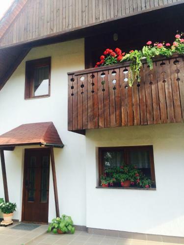Apartment Gaja - Golte