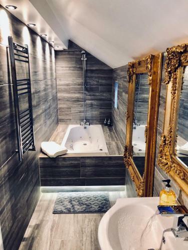 Luxury Apartment
