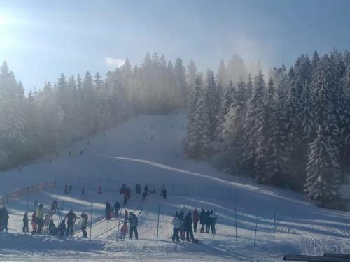 Apartma Ribnica Na Pohorju