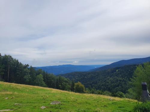 Apartma Ribnica Na Pohorju
