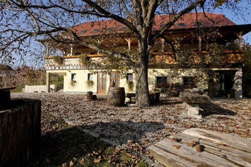 Apartamento Vineyard Cottage Majzelj
