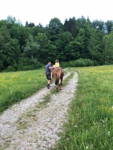 Hostal Farm Stay ?urej