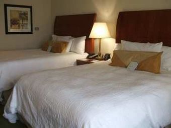 Hotel Hilton Garden Inn Memphis/southaven