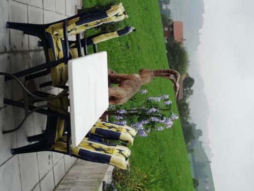 Bed And Breakfast Hasle