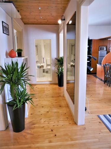3papige Apartment