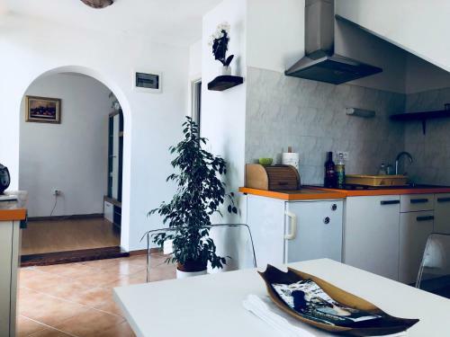 Mozgan Apartments