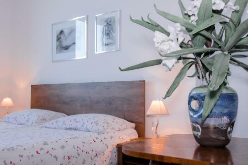 Apartamento Fredi