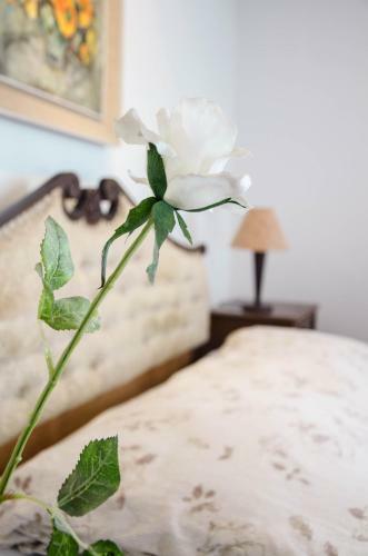 Apartamentos Penthouse Presernovo Nabrezje