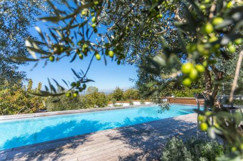 Villa Emi
