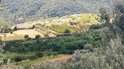 Apartment Istrian View