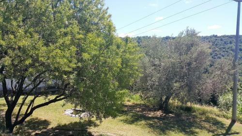 Apartment Istrian View