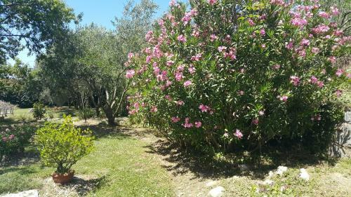 Apartment Istrian View