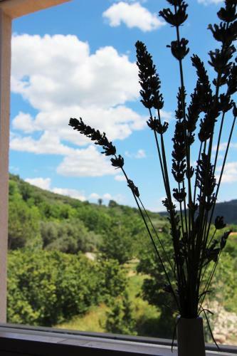 Apartamento Vila Flora