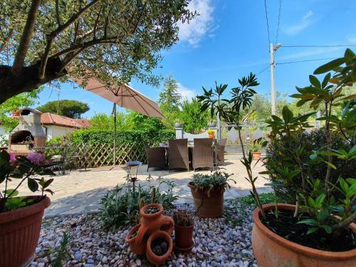Apartments Villa Bazilika