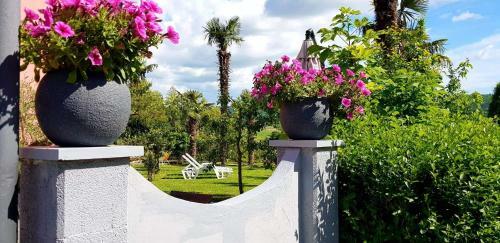 Apartments Villa Bazilika