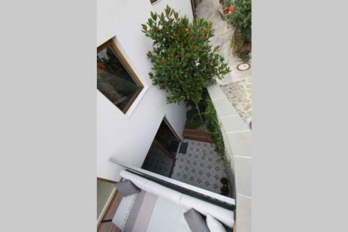 Contemporary House Padna