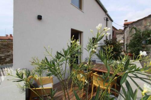 Contemporary House Padna