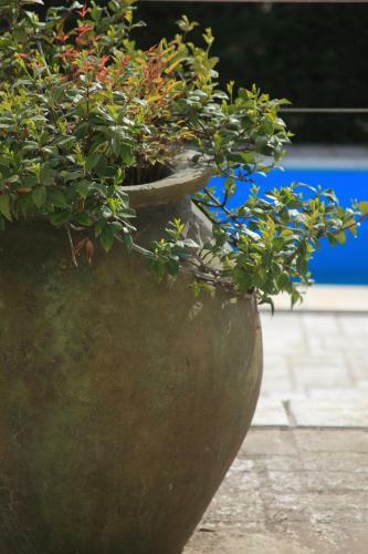 Spacious Villa In Parecag With A Swimming Pool