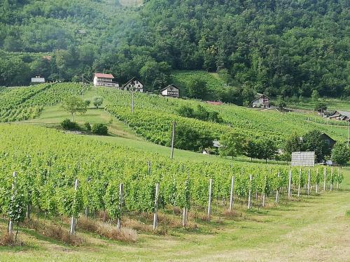 Agroturismo Grobelnik Tourist Farm