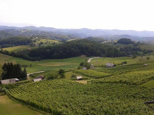Agroturismo Grobelnik Tourist Farm