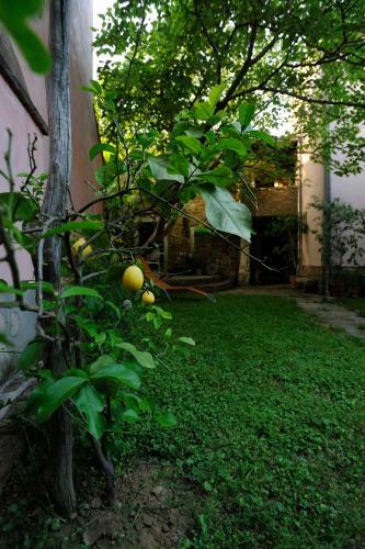 Hostal Traditional Istrian Stone House