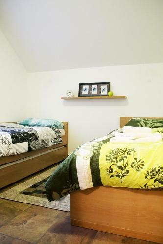 Apartma Pegaz