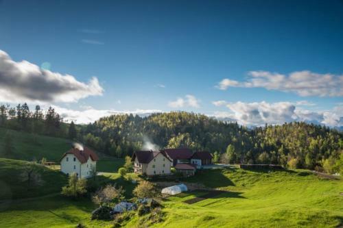 House On The Hill