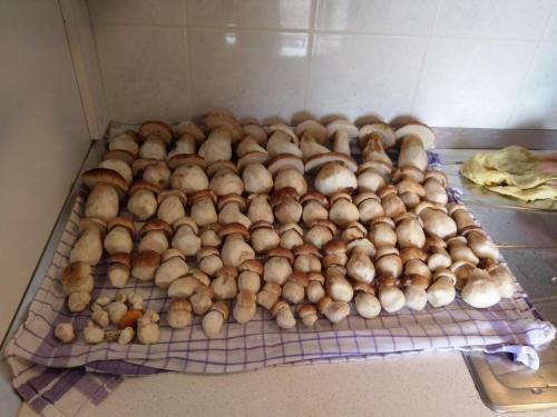 Apartamento Tomdva Ravne