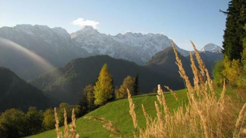Shepherds House "alpine Dreams"