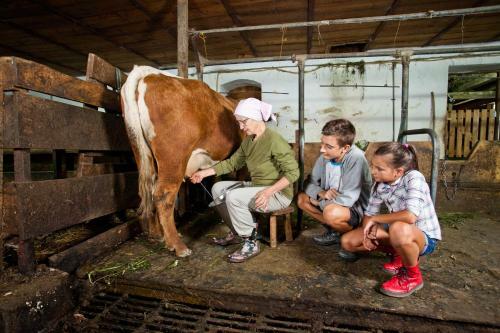 Agroturismo Kmetija Matk