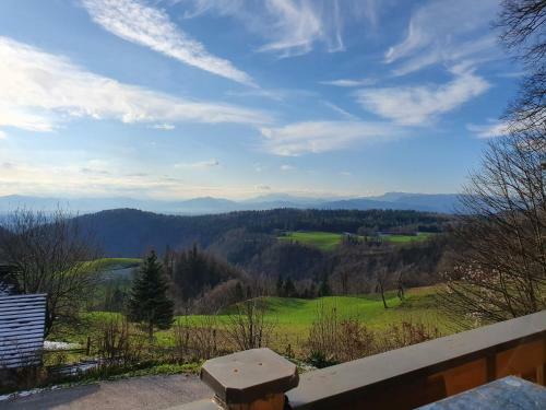 Cosy Spacious Wooden Chalet Na Hrib