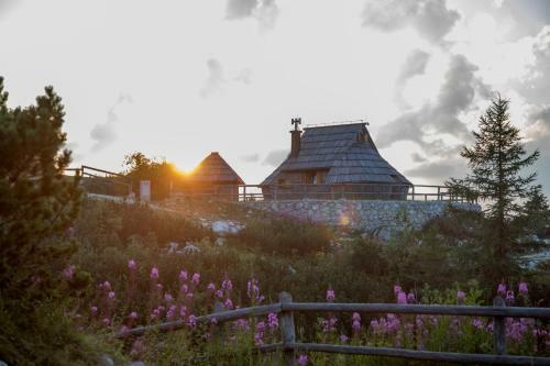Ko?a Ojstrica - Velika Planina