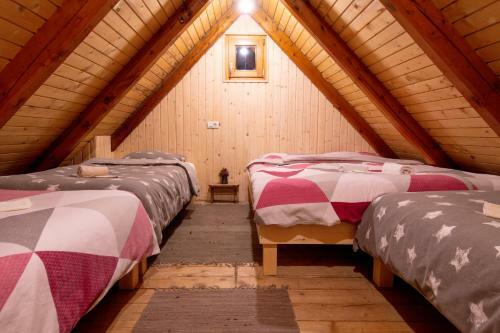 Ko?a Ojstrica - Velika Planina