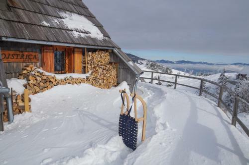 Ko?a Ojstrica - Velika Planina