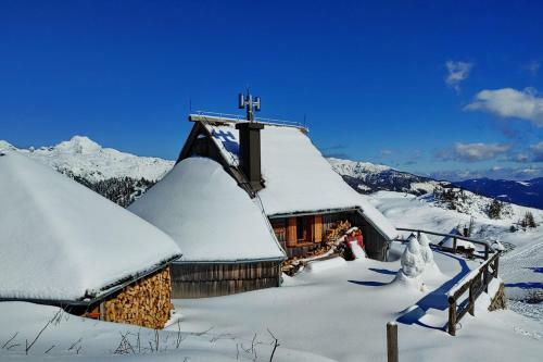 Ko?a Ojstrica - Velika Planina