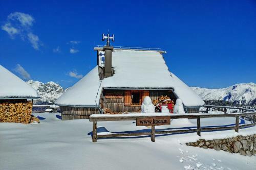 Ko?a Ojstrica - Velika Planina