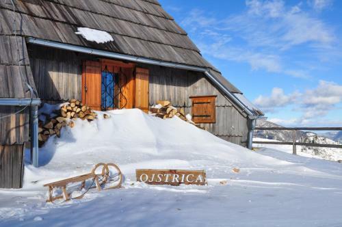 Ko?a Ojstrica - Velika Planina