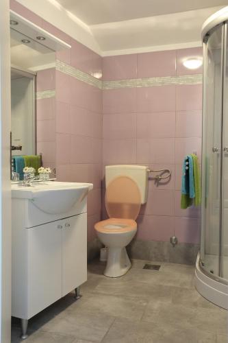 Apartment Soca Tolmin