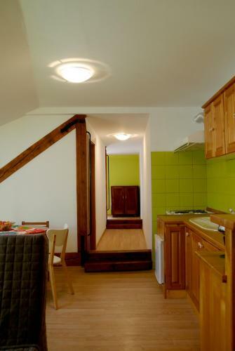 Apartment Soca Tolmin