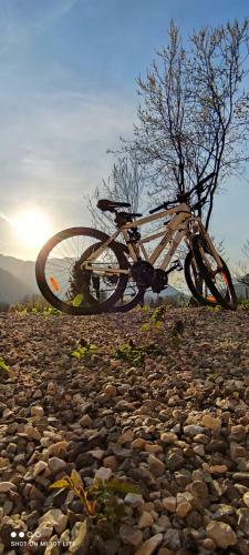 Hostal Preno?i??e 9a