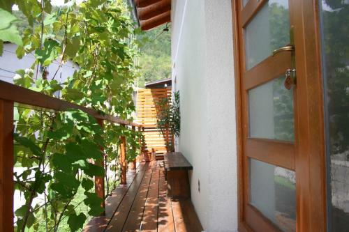 Apartment House Blazar