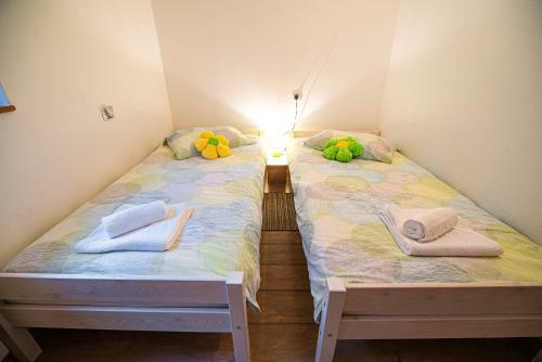 Three Bedroom Apartment With Terrace Ole