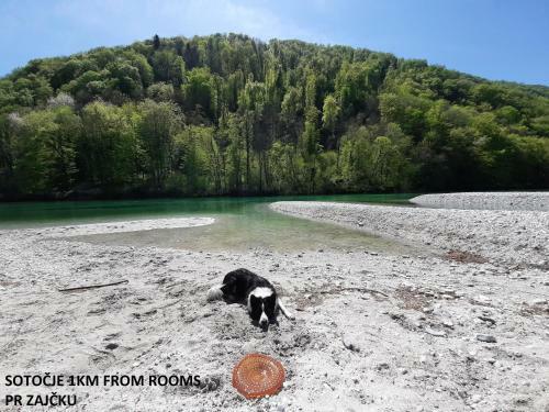 Hostal Rooms Pr Zaj?ku