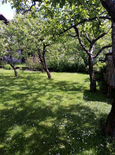 Apartma Rutar