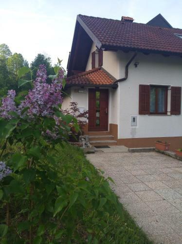 Apartment Sela