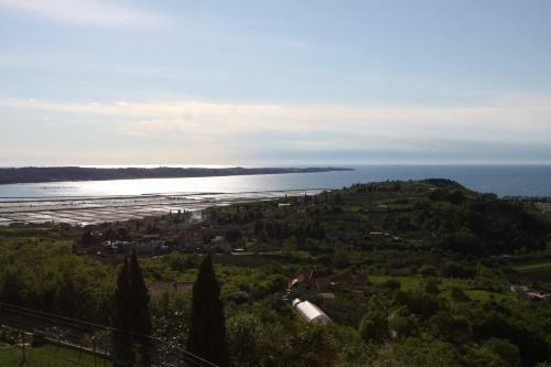 Apartma Viktorija